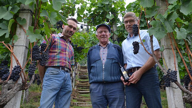 Bürgermeister Georg Eble (rechts) ist auf den Weinberg sehr stolz. "Seit jeher gab es im Wutachtal schon Wein und sogar sehr guten", ...