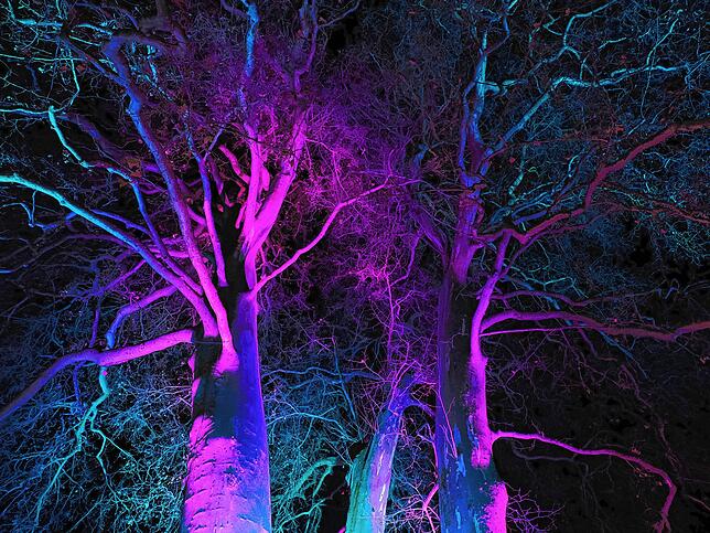 Die Lichtinstallationen und Beleuchtungen schufen fantastische Stimmungen.