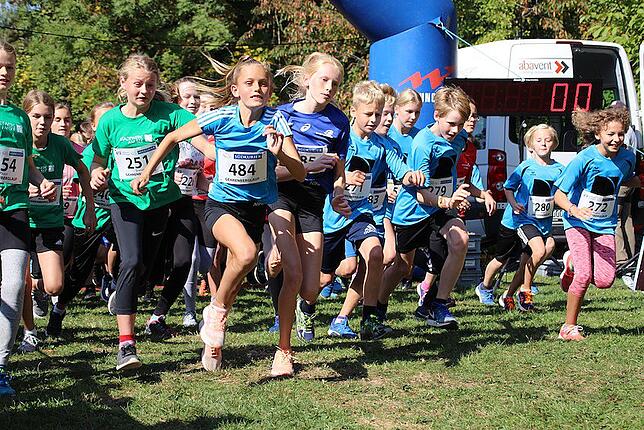 Bild 3: Bilder: So schön war der Gehrenberglauf