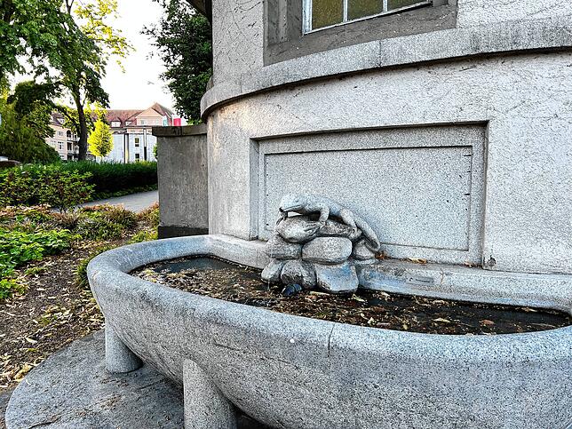 Der Brunnen, den diese Eidechse ziert, steht bei der Zufahrt zum Klinikum Konstanz an der Mainaustraße.