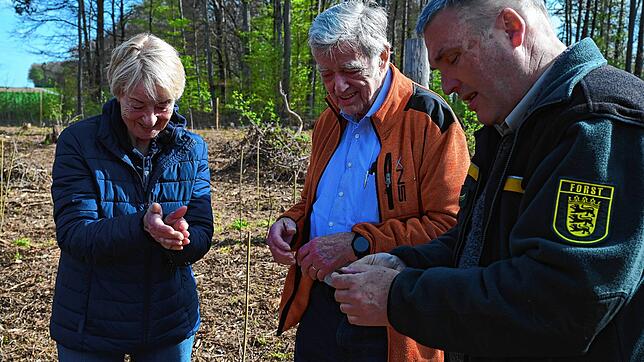 Forst BW-Forstbezirksleiter Thomas Emmerich (rechts) lässt keine Frage von SÜDKURIER-Leser Gerd Bunjes und seiner Schwester Ursula Carr ...