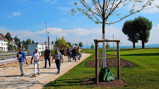 Der schlafende Uferpark: Das Grün ist gut angewachsen, die Beete für den Wechselflor sind abgeräumt und die neu gepflanzten Bäume werden ...
