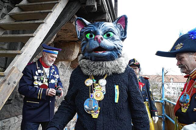 Nachdem er endlich aufgetaut war und wieder Hitze in sich spürte, ging es für der Kater gleich auch gleich wieder den Turm hinunter und ...