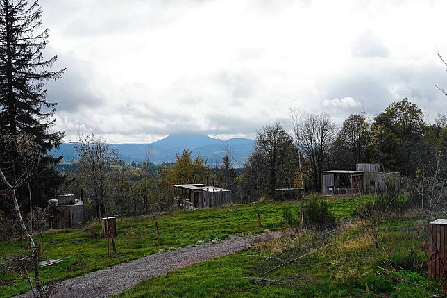 Der Blick von oben: So sieht der kleine Park mit 37 Hütten aus, in denen sich die Gäste zurückziehen und abschalten können.