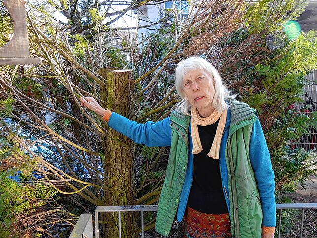 Dieser Lebensbaum vor ihrem Balkon wurde auf der Hälfte abgesägt. Auch das macht Ursula Wolschendorf traurig.