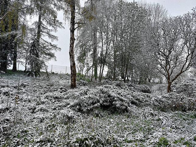 Winterimpressionen im Frühling vom Hubenloch.