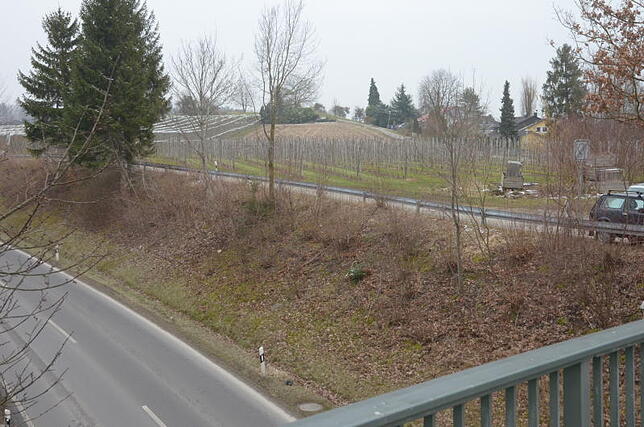 Das geplante Baugebiet liegt neben der Kreisstraße. Entsprechende Lärmschutzmaßnahmen sind vorgesehen.