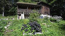 Blick auf die Waldhütte im Schweizer Ort Merishausen bei Schaffhausen. Nach dem Tod einer 64-jährigen Amerikanerin durch die ...