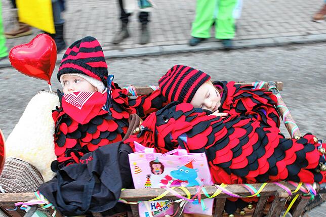 Bild 4: Umzug am Fastnachtssonntag in Hochemmingen: hier gibt´s die Bilder!