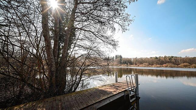 Der Steg, der in den Güttinger See führt. Sollte sich kein Pächter finden, muss dieser zwar nicht komplett abgebaut werden. Er darf ...