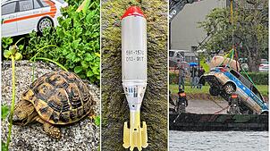 Unter den kuriosesten Funden in den vergangenen Jahren zählten unter anderem eine Schildkröte, eine Granate und ein Polizeiauto.