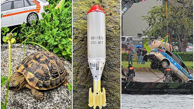 Unter den kuriosesten Funden in den vergangenen Jahren zählten unter anderem eine Schildkröte, eine Granate und ein Polizeiauto.