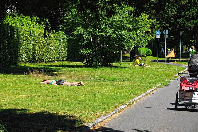 Die Wiesen an der Seestraße als Liegewiesen.