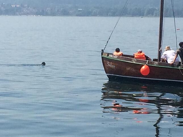 ... dann nahm ihn eine Bootsbesatzung des Vereines VSS (Verein für sozialpädagogisches Segeln) an Bord. Die Passanten an der Promenade ...