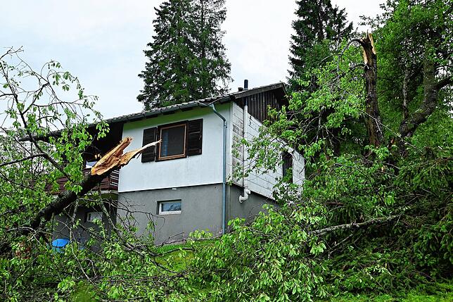 Dieses Haus haben die Bäume, die umgestürzt sind, nur knapp verfehlt.