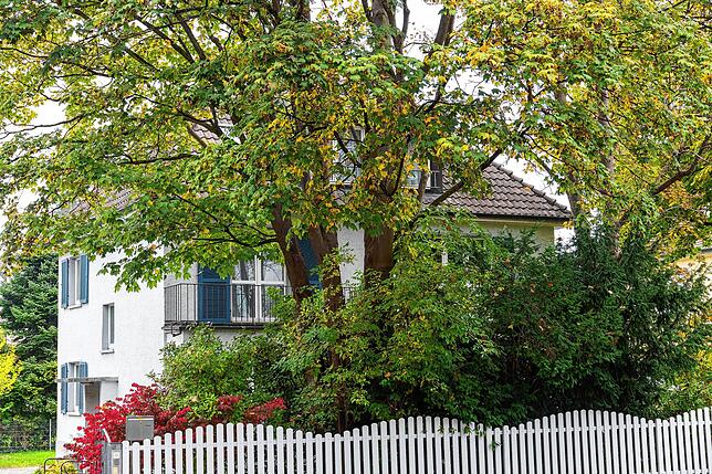 Versteckt hinter Bäumen steht dieses Haus an der Mainaustraße. Laut Herbert Weber sind die Besitzer nur selten in Konstanz.
