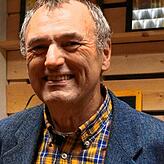 Rainer Luick, Grüne