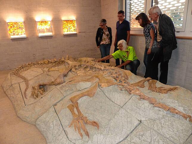 Bild 3: Frick im Dino-Fieber: Vor 60 Jahren fand Ernst Wälchli den ersten Saurierknochen in der Tongrube