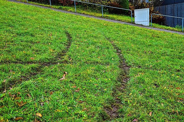 Tiefe Furchen zeugen noch von dem Versuch des Fahrers, mit dem Fiat über die Wiese im Lärchenweg zu flüchten. Doch vorher konnte ihn die ...
