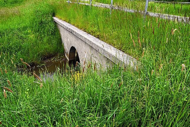 Brücken sind Engpässe, durch die das Wasser nicht nur durch muss, sondern das mitgeführte Geröll und Gebüsch auch aufgehalten wird. So ...