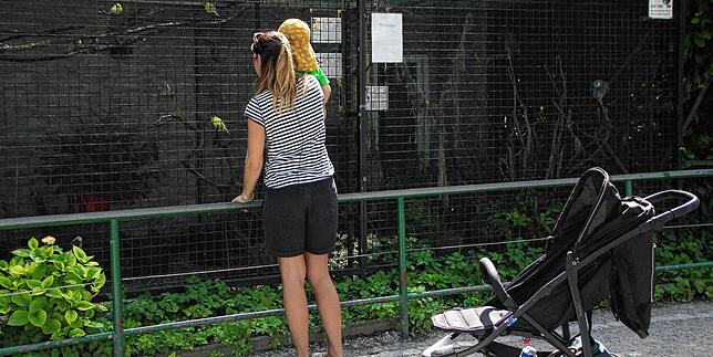 Mitten im Stadtgarten steht die Voliere mit exotischen Vögeln. Immer wieder bleiben Passanten, wie diese Mutter mit Kind, stehen und ...