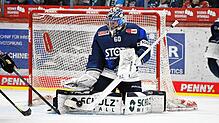 Torhüter Joacim Eriksson befindet sich bereits in Topform. Er war beim Spiel gegen Bremerhaven mitentscheidend, dass die Wild Wings im ...