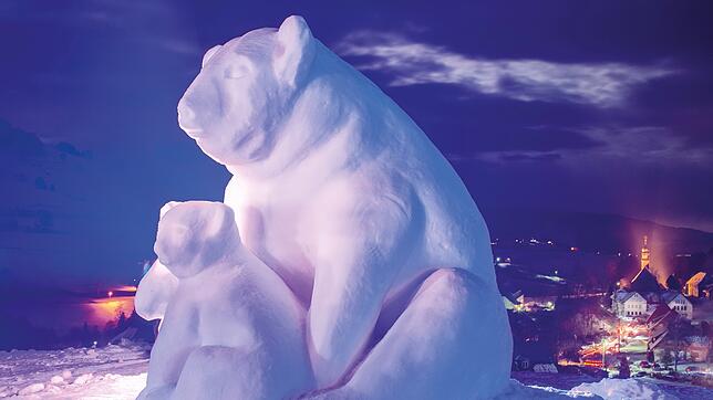 Weiß und eiskalt – Aus Schnee wird Kunst beim dritten Schwarzwälder Schneeskulpturen-Festival. Aus Italien, Deutschland, Frankreich, ...