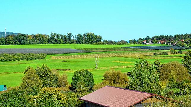 Auf der Wiesenfläche unterhalb des Waldes im oberen Bildrand soll eine Agri-PV-Anlage installiert werden. Von Ittendorf aus wird sie ...