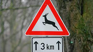 Ein Verkehrsschild warnt vor Wildwechsel. Das Foto dient hier als Symbolbild.