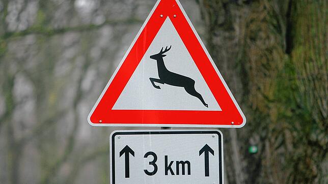 Ein Verkehrsschild warnt vor Wildwechsel. Das Foto dient hier als Symbolbild.