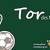 Welcher Spieler hat eurer Meinung nach den schönsten Treffer des Monats April erzielt?