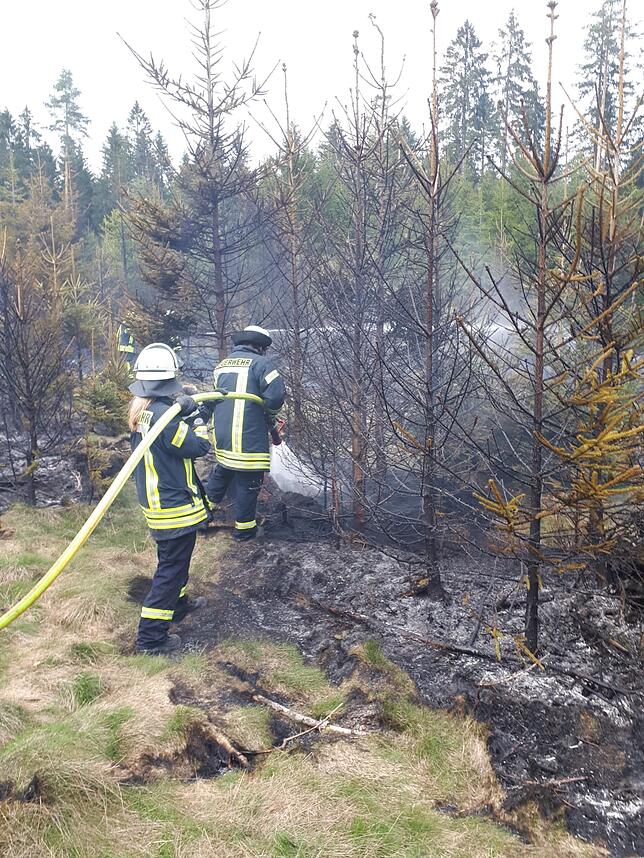 Löschtrupps der Feuerwehr sind im Wald unterwegs, um weitere Glutnester ausfindig zu machen.