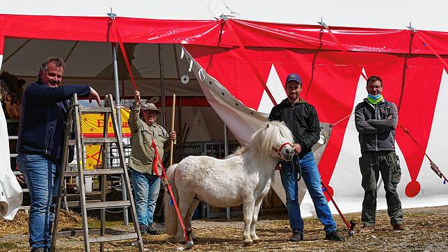 Das neue Zirkuszelt für die Tiere steht beim Circus Renz schon (von links): Armin Höfler, Johann und Dustin Renz, sowie Georg Häußler. ...