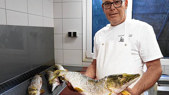 Fischer Christoph Keller mit vier stattlichen Hechten. Längst nicht immer hat er an einem Tag so eine Ausbeute.