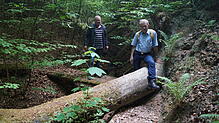 Alfred Reichle (rechts) und Daniel Späth müssen auf dem Weg zum Seeufer unterhalb des Burghofs bei Wallhausen Hindernisse überwinden. ...