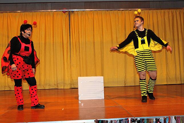 Bild 3: Hemdglonkerumzug- und Ball in Hochemmingen