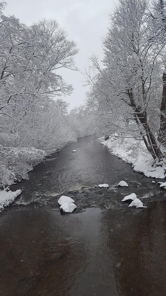 Bild 9: Winterimpressionen aus Villingen-Schwenningen und Umgebung