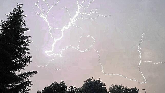 Dieses Bild hat Leserin Anna Wieland am Dienstag, 8. Juni, in Appenweiler (Friedrichshafen-Ettenkrich) gemacht.