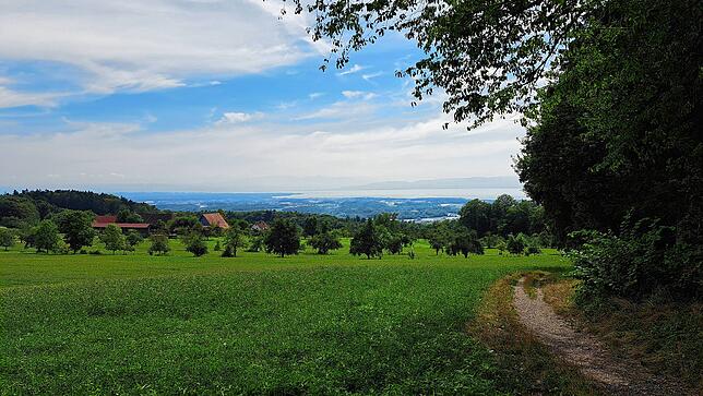 Auch von einer der Bank am Fuß des Gehrenbergturms auf dem Wanderweg ist der Ausblick auf den Bodensee spektakulär.