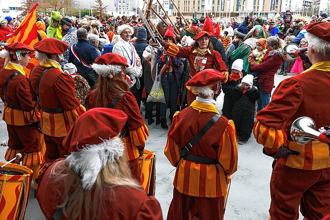 Bild 4: Bilder vom Kindernarrenbaumstellen