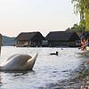 Das Strandbad an den Pfahlbauten Pfingsten 2019. Hochwasser? Zu heiß? Was soll&lsquo;s!