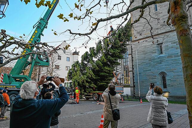 Bild 5: Ein Christbaum fliegt durch die Lüfte: Auf dem Marktplatz wird der Weihnachtsbaum aufgestellt