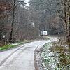 Schleichweg am Walkebuck: Hier fährt ein Lieferwagen auf verbotenen Wegen durch den Stadtwald.