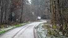 Schleichweg am Walkebuck: Hier fährt ein Lieferwagen auf verbotenen Wegen durch den Stadtwald.