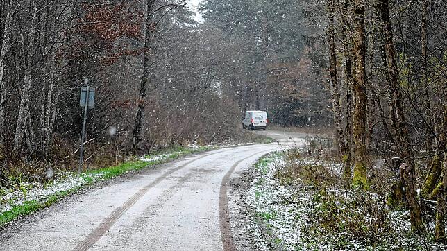 Schleichweg am Walkebuck: Hier fährt ein Lieferwagen auf verbotenen Wegen durch den Stadtwald.