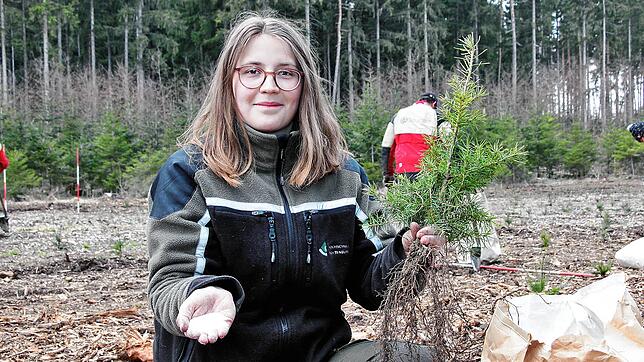 Sarah Löffler aus Unterkirnach studiert Forstwirtschaft in Rottenburg. Im Rahmen ihrer Bachelor-Arbeit untersucht sie die Wirkung von ...