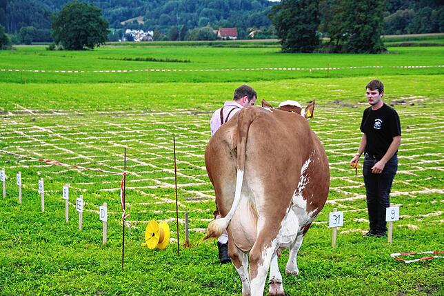 Das Startfeld ist ausgelost, und Simon Käppeler führte die Glücksfee Email zum Startfeld.
