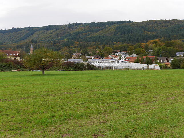 Grafik
