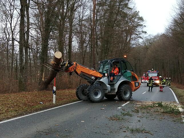 Mit einem Radlader wurde der Baum von der L 440 geräumt.