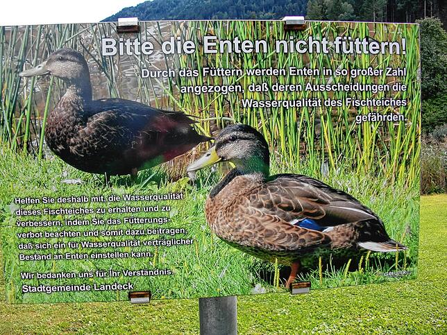 Solche Hinweisschilder hat Ingolf Kieper in seinem Urlaub in Österreich gesehen. Er hält sie für auffälliger als die am Eisweiher ...